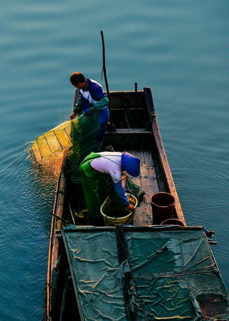 Alltag Meister GmbH - Image 1